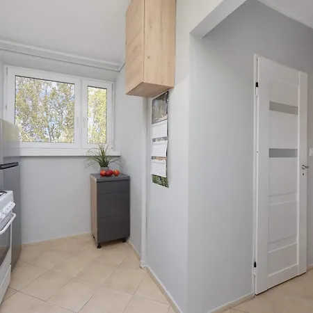 公寓 Modern & Pet Friendly With Balcony By Renters *